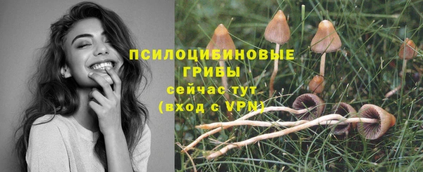 марки nbome Беломорск