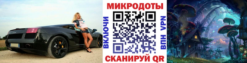 МЕГА вход  купить наркотики сайты  Нефтегорск  Галлюциногенные грибы Cubensis 
